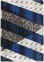 http://www.daniel-bischoff.net/files/gimgs/th-89_Riso 14 79 x 112mm.jpg